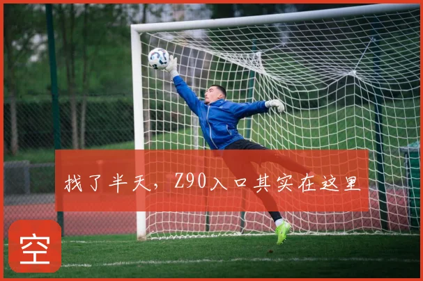 找了半天，Z90入口其实在这里